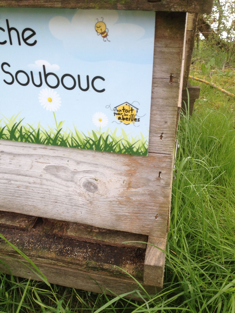 La ruche Bomon Soubouc